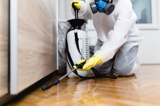 Best Local Pest Control Services  in Lake Zurich, IL