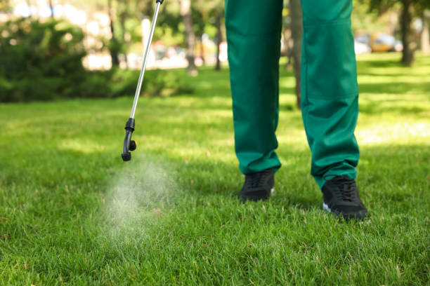 Reliable Lake Zurich, IL Pest Control Solutions
