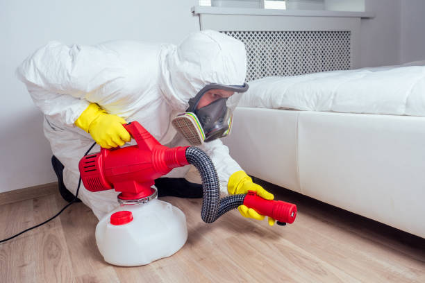 Best Mosquito Control Services  in Lake Zurich, IL