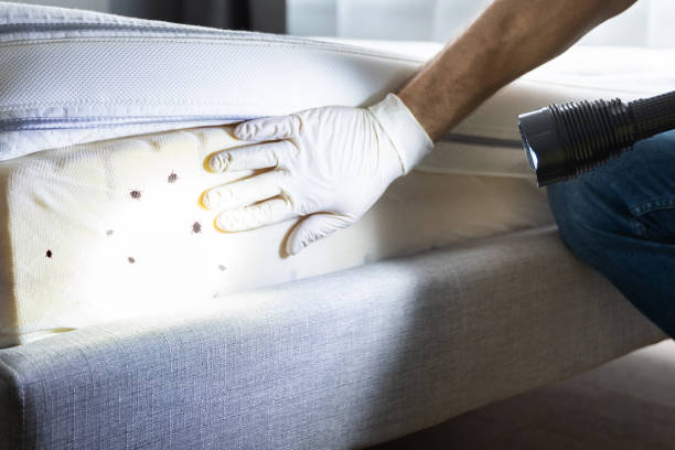 Best Pest Control Cost  in Lake Zurich, IL