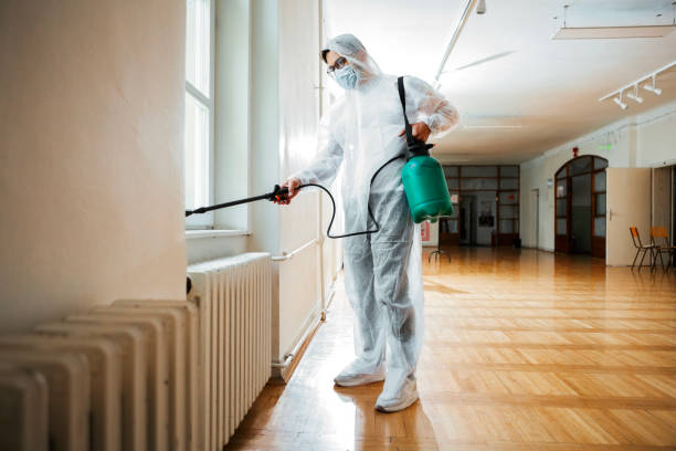 Reliable Lake Zurich, IL Pest Control Solutions
